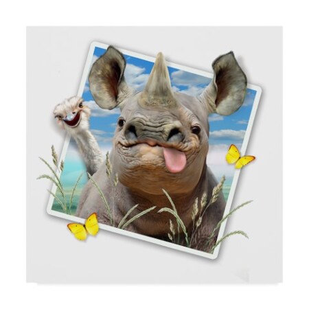 Trademark Fine Art Howard Robinson 'Rhino Photograph' Canvas Art, 24x24 ALI24075-C2424GG